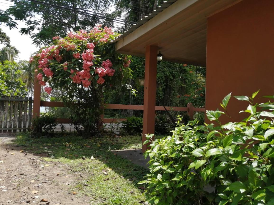 Cahuita Lodge Kültér fotó